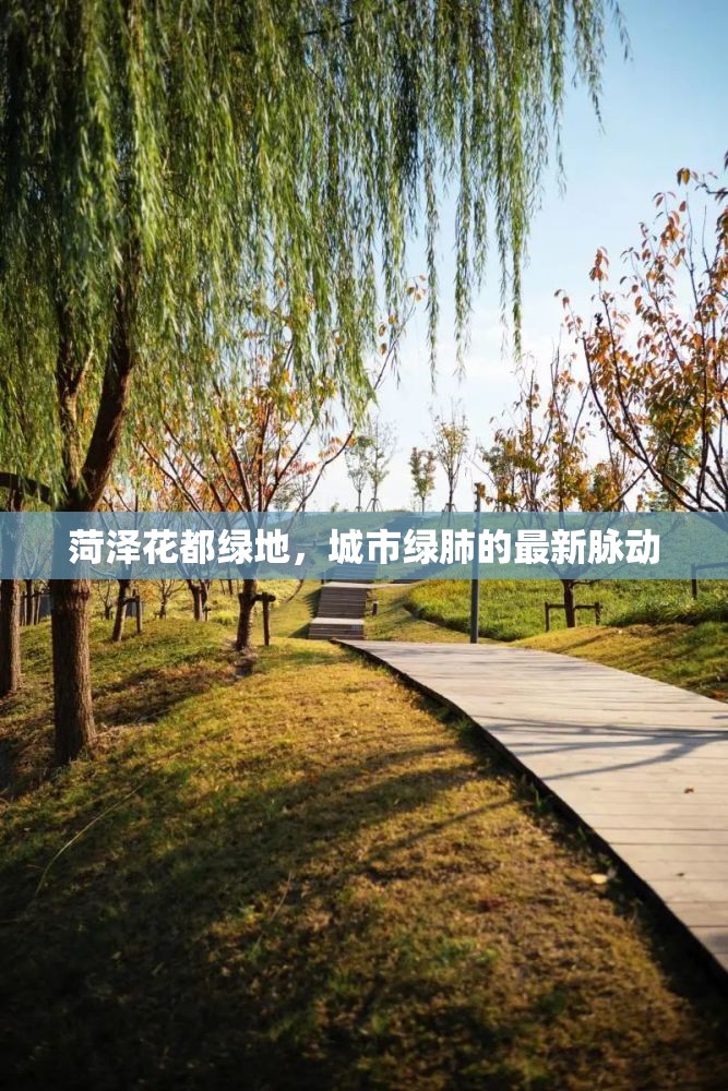 菏澤花都綠地，城市綠肺的最新脈動