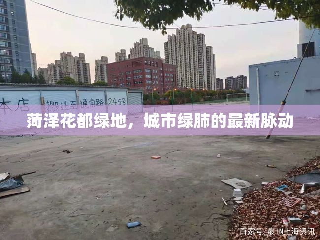 菏澤花都綠地，城市綠肺的最新脈動
