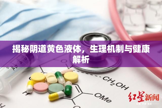 揭秘陰道黃色液體，生理機(jī)制與健康解析