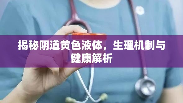揭秘陰道黃色液體，生理機(jī)制與健康解析
