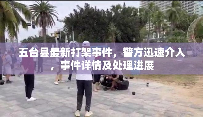 五臺(tái)縣最新打架事件，警方迅速介入，事件詳情及處理進(jìn)展