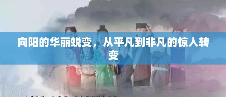 向陽的華麗蛻變，從平凡到非凡的驚人轉(zhuǎn)變