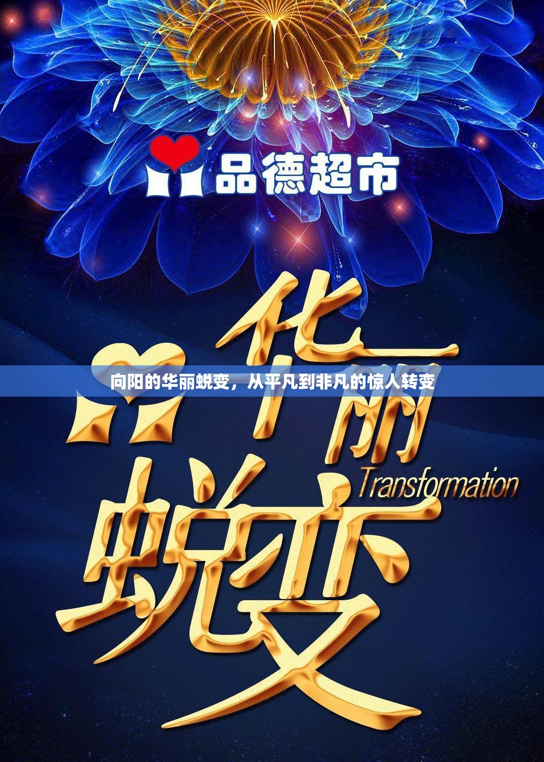 向陽的華麗蛻變，從平凡到非凡的驚人轉(zhuǎn)變