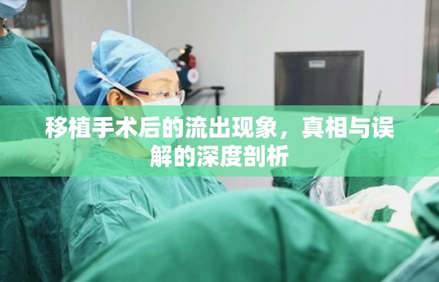 移植手術(shù)后的流出現(xiàn)象，真相與誤解的深度剖析