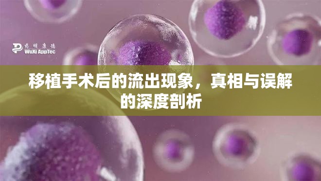 移植手術(shù)后的流出現(xiàn)象，真相與誤解的深度剖析