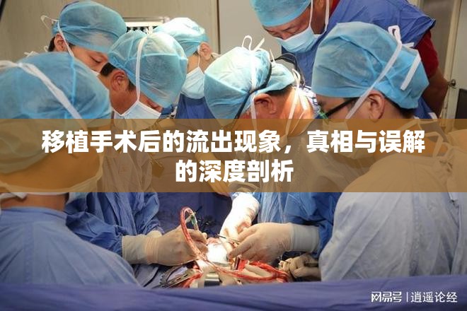 移植手術(shù)后的流出現(xiàn)象，真相與誤解的深度剖析