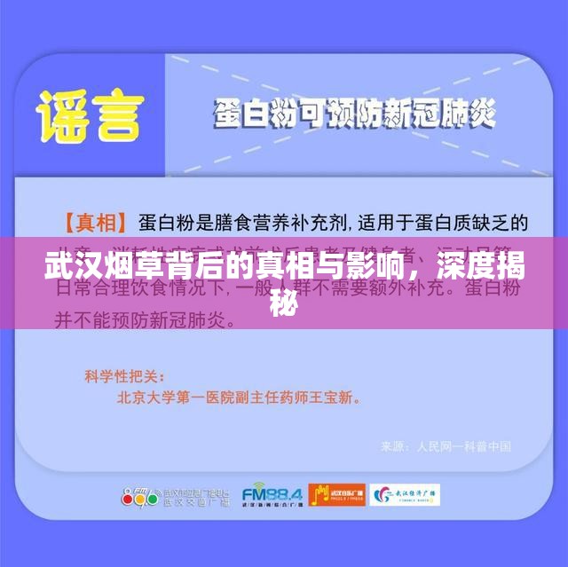 武漢煙草背后的真相與影響，深度揭秘