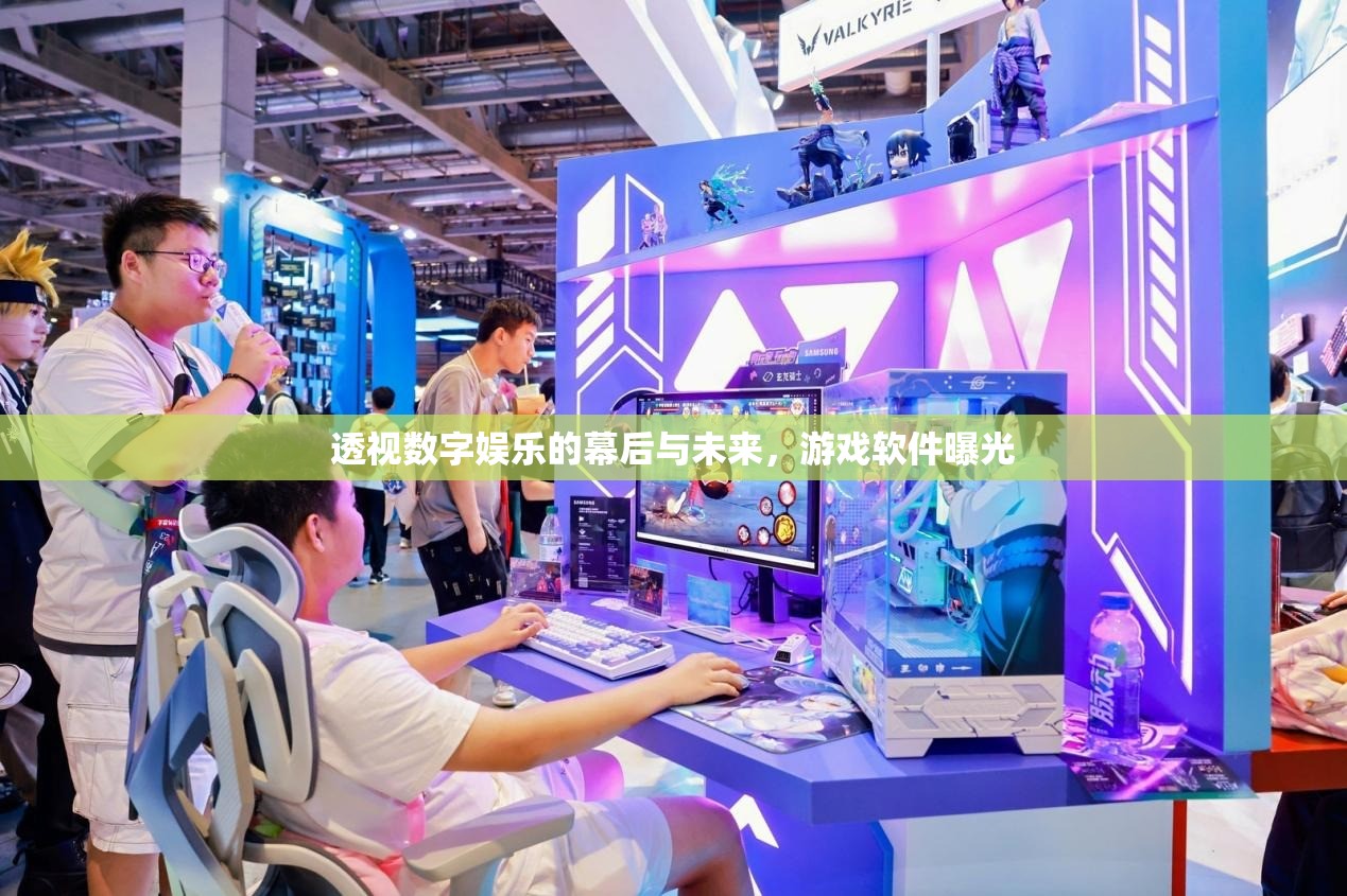 透視數(shù)字娛樂的幕后與未來，游戲軟件曝光