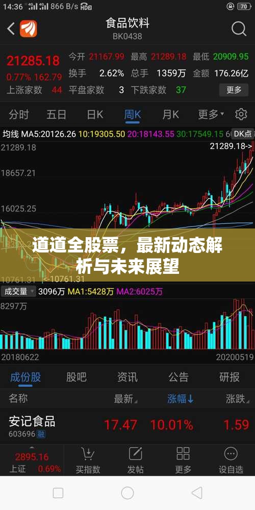 道道全股票，最新動(dòng)態(tài)解析與未來(lái)展望
