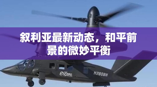 敘利亞最新動態(tài)，和平前景的微妙平衡