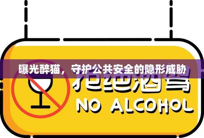 曝光醉貓，守護(hù)公共安全的隱形威脅