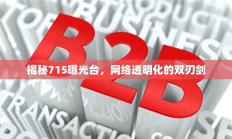 揭秘715曝光臺，網(wǎng)絡透明化的雙刃劍