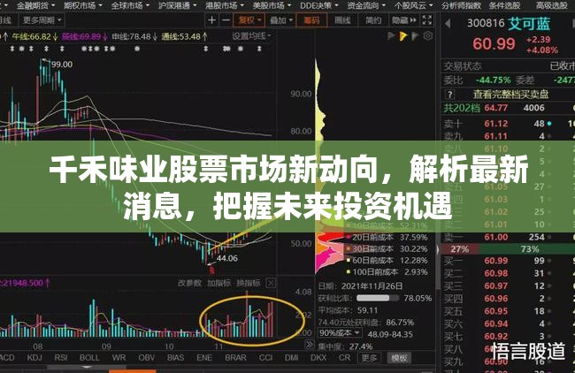 千禾味業(yè)股票市場新動向，解析最新消息，把握未來投資機(jī)遇
