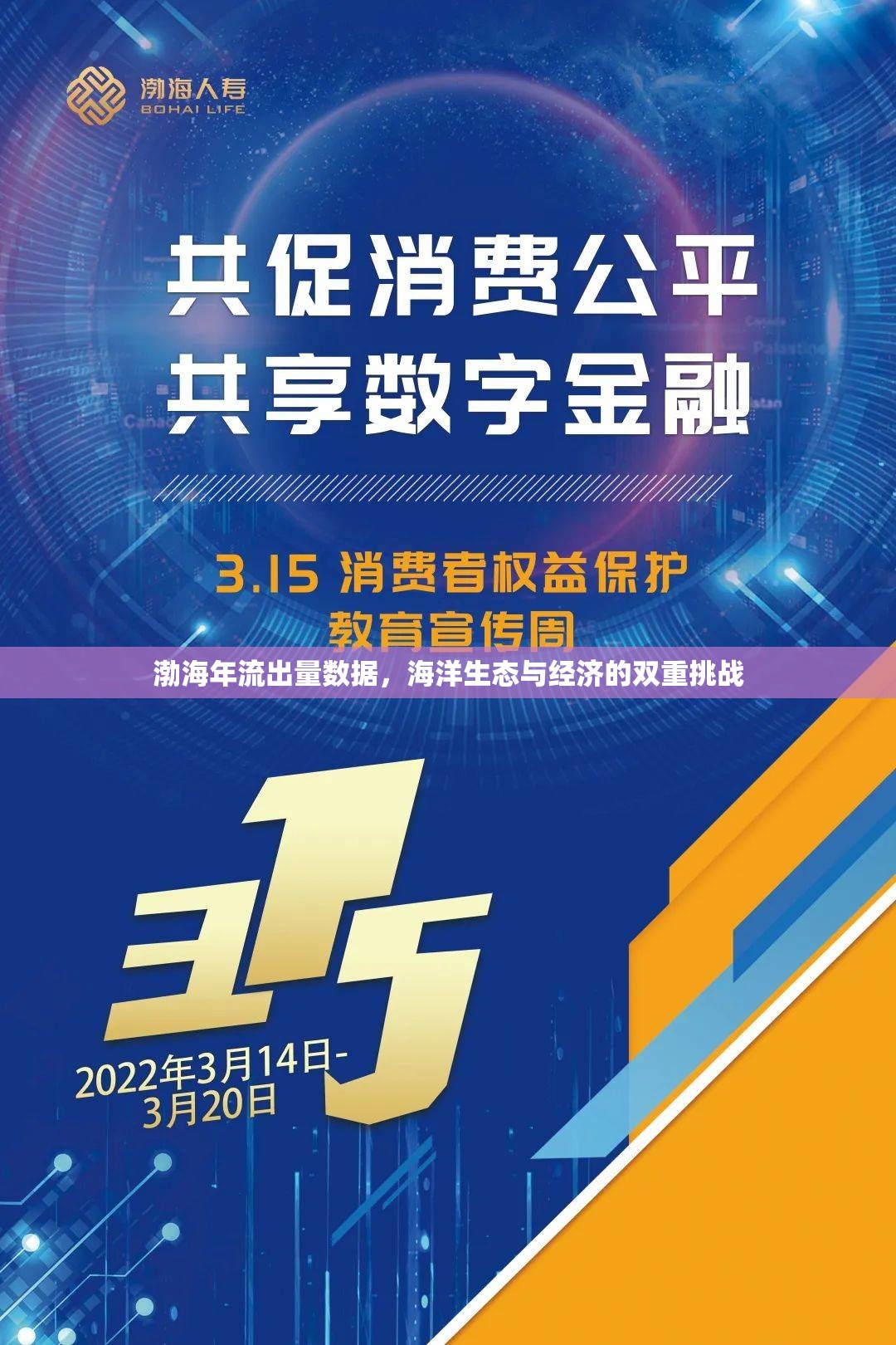 渤海年流出量數(shù)據(jù)，海洋生態(tài)與經(jīng)濟(jì)的雙重挑戰(zhàn)