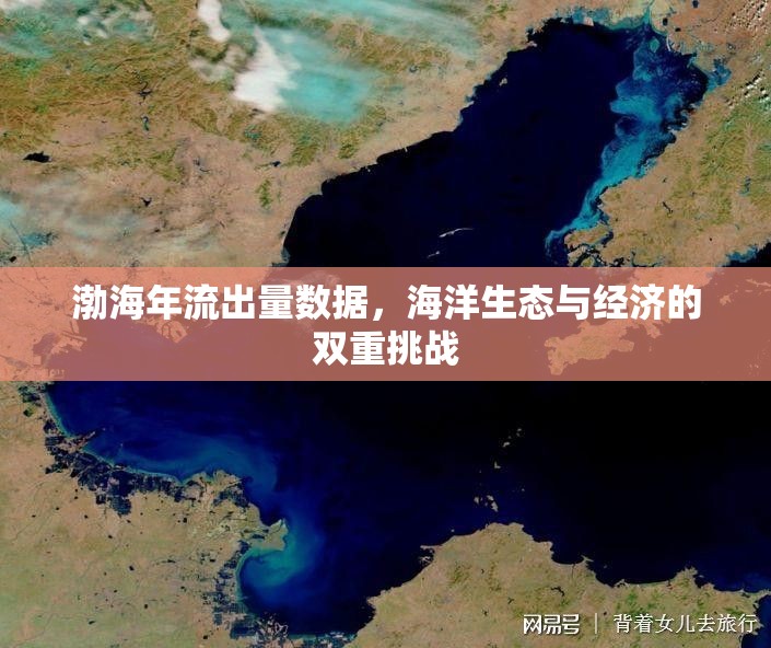 渤海年流出量數(shù)據(jù)，海洋生態(tài)與經(jīng)濟(jì)的雙重挑戰(zhàn)