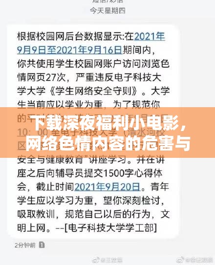 下載深夜福利小電影，網(wǎng)絡(luò)色情內(nèi)容的危害與反思