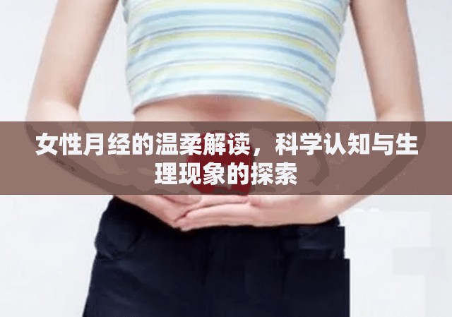 女性月經(jīng)的溫柔解讀，科學認知與生理現(xiàn)象的探索