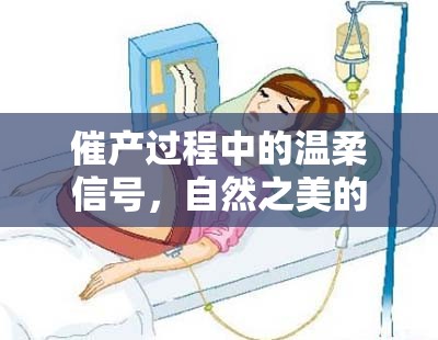 催產(chǎn)過程中的溫柔信號(hào)，自然之美的分泌物