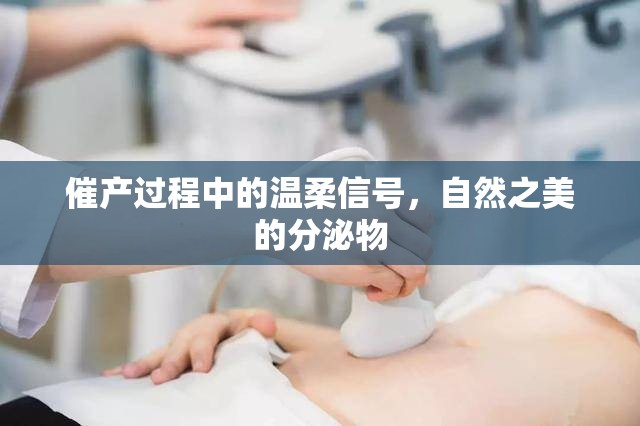 催產(chǎn)過程中的溫柔信號(hào)，自然之美的分泌物