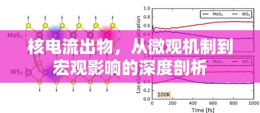 核電流出物，從微觀機制到宏觀影響的深度剖析