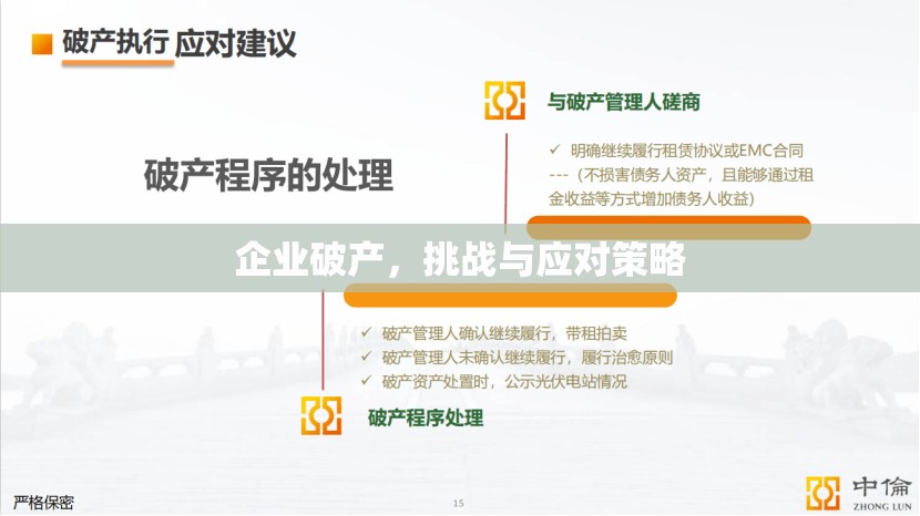 企業(yè)破產(chǎn)，挑戰(zhàn)與應(yīng)對(duì)策略