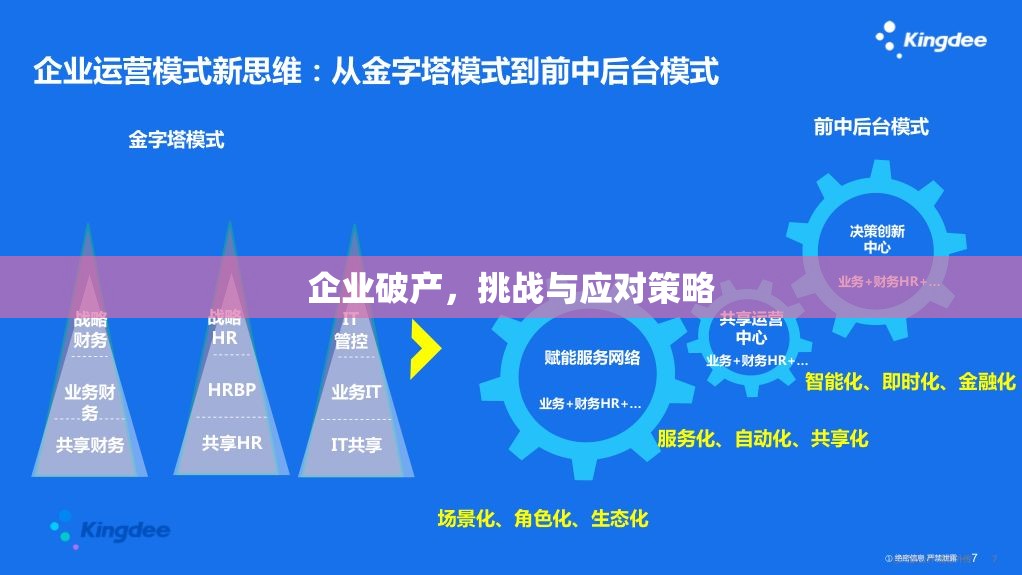 企業(yè)破產(chǎn)，挑戰(zhàn)與應(yīng)對(duì)策略