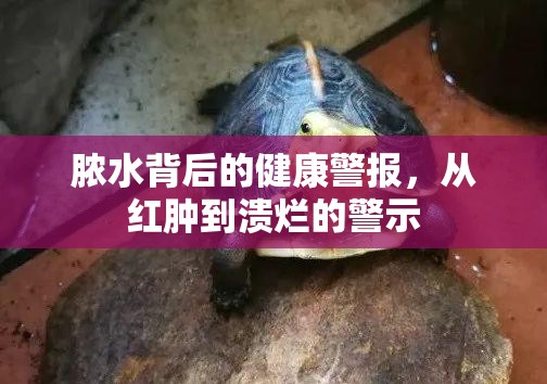 膿水背后的健康警報(bào)，從紅腫到潰爛的警示