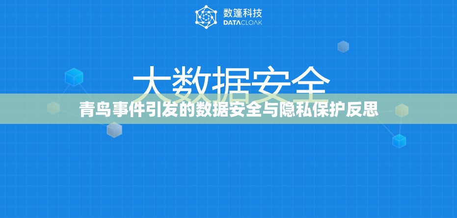 青鳥事件引發(fā)的數(shù)據(jù)安全與隱私保護反思