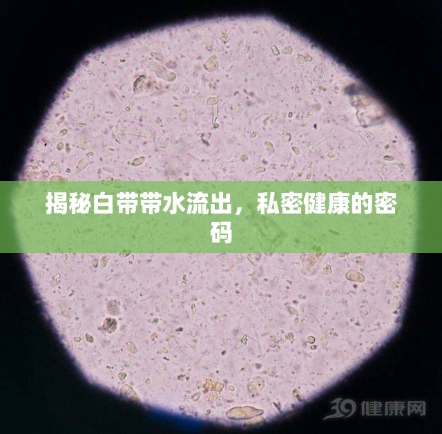揭秘白帶帶水流出，私密健康的密碼