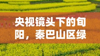 央視鏡頭下的旬陽(yáng)，秦巴山區(qū)綠色轉(zhuǎn)型與發(fā)展之路的探秘之旅