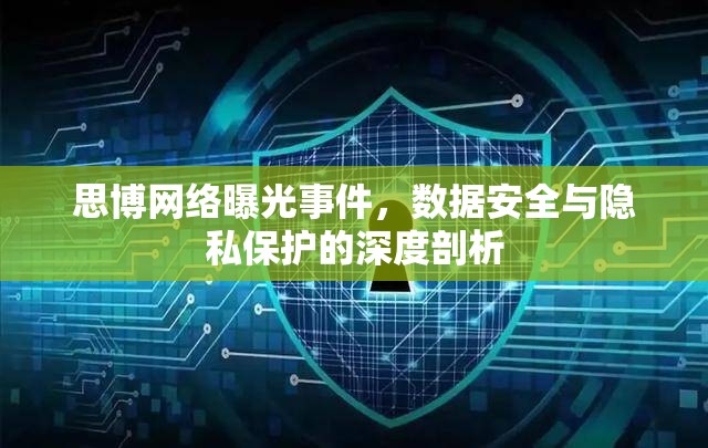 思博網(wǎng)絡曝光事件，數(shù)據(jù)安全與隱私保護的深度剖析