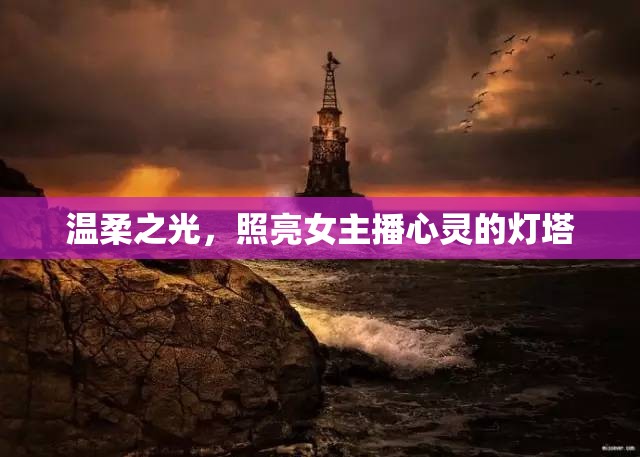 溫柔之光，照亮女主播心靈的燈塔