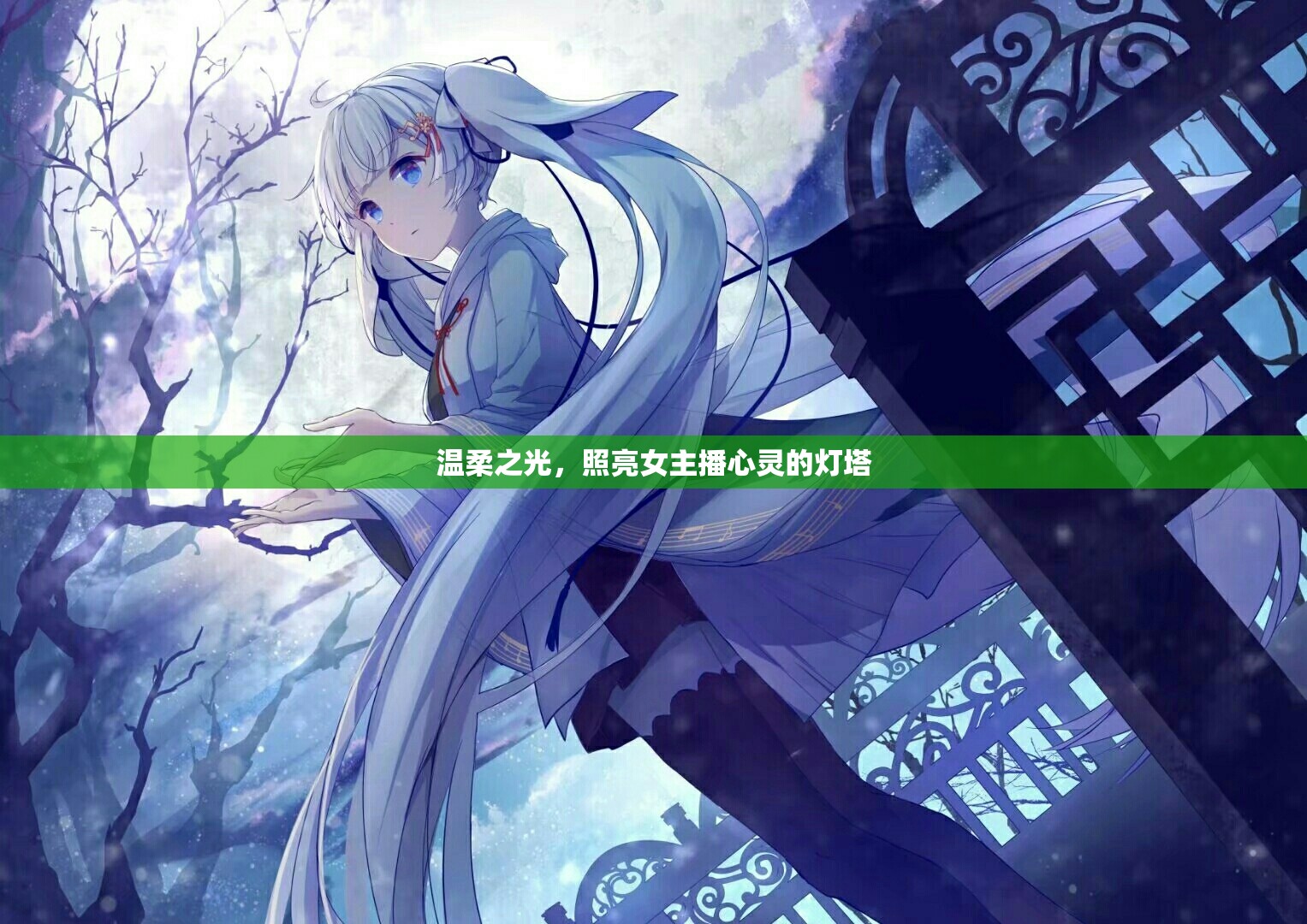 溫柔之光，照亮女主播心靈的燈塔