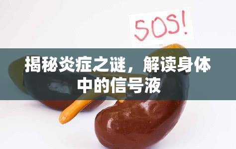 揭秘炎癥之謎，解讀身體中的信號液