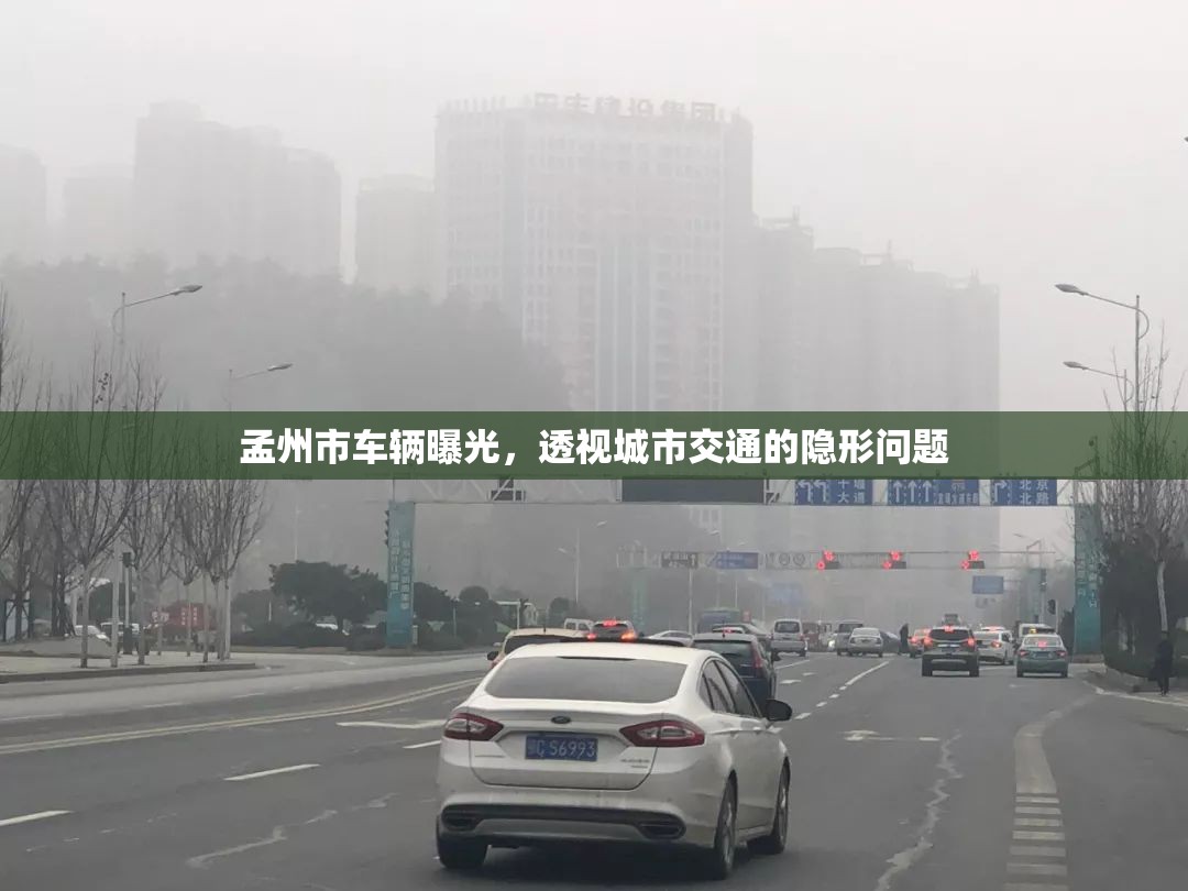 孟州市車輛曝光，透視城市交通的隱形問題