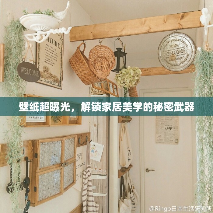 壁紙超曝光，解鎖家居美學(xué)的秘密武器