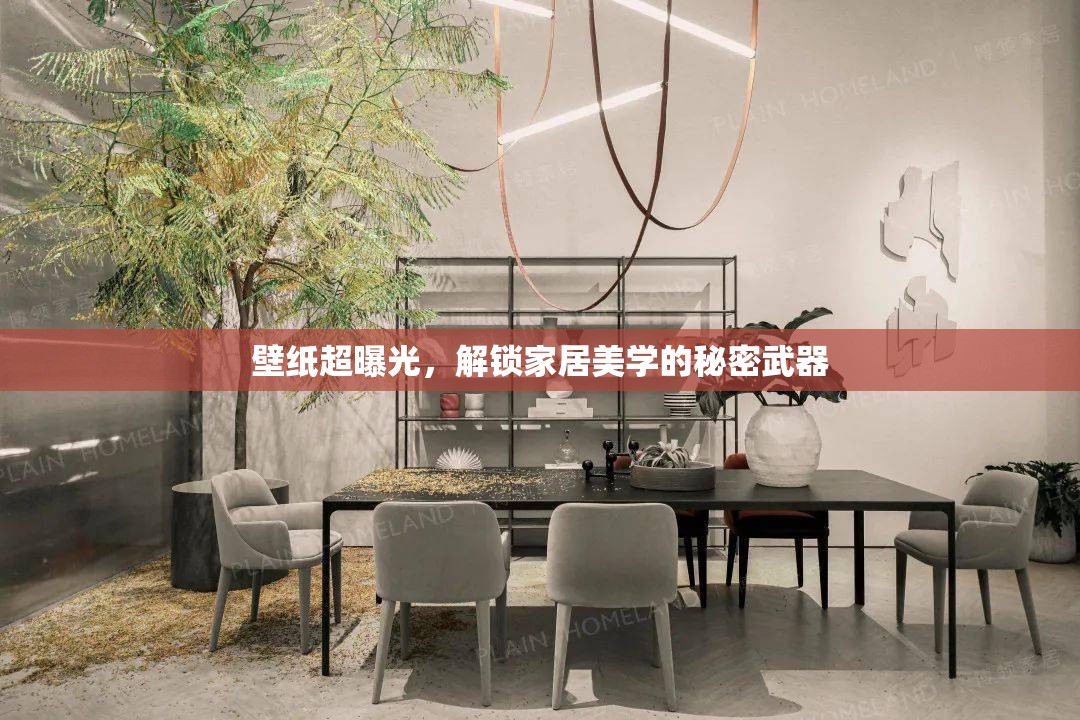 壁紙超曝光，解鎖家居美學(xué)的秘密武器