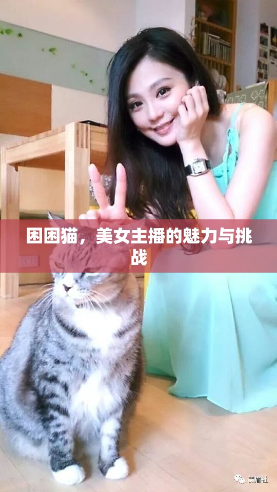 困困貓，美女主播的魅力與挑戰(zhàn)
