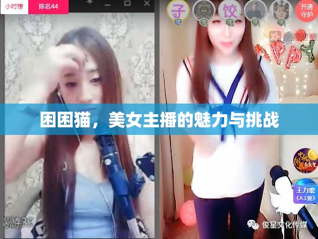 困困貓，美女主播的魅力與挑戰(zhàn)