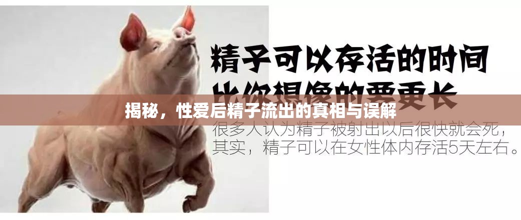 揭秘，性愛(ài)后精子流出的真相與誤解