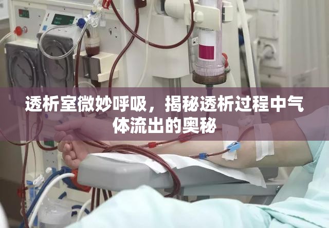透析室微妙呼吸，揭秘透析過程中氣體流出的奧秘