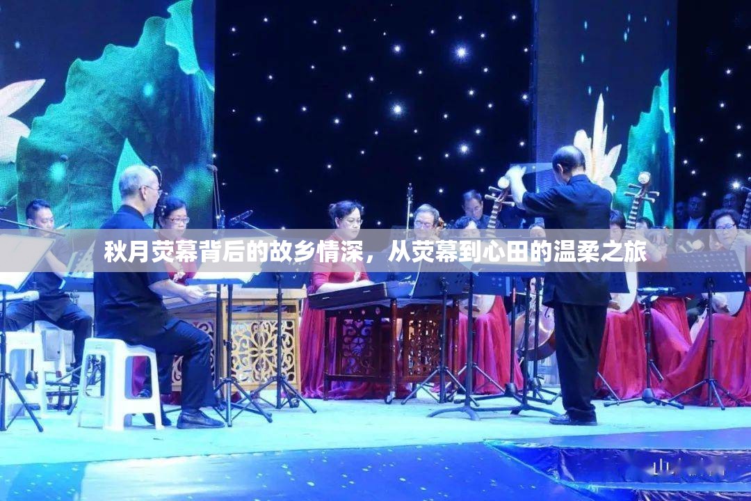 秋月熒幕背后的故鄉(xiāng)情深，從熒幕到心田的溫柔之旅