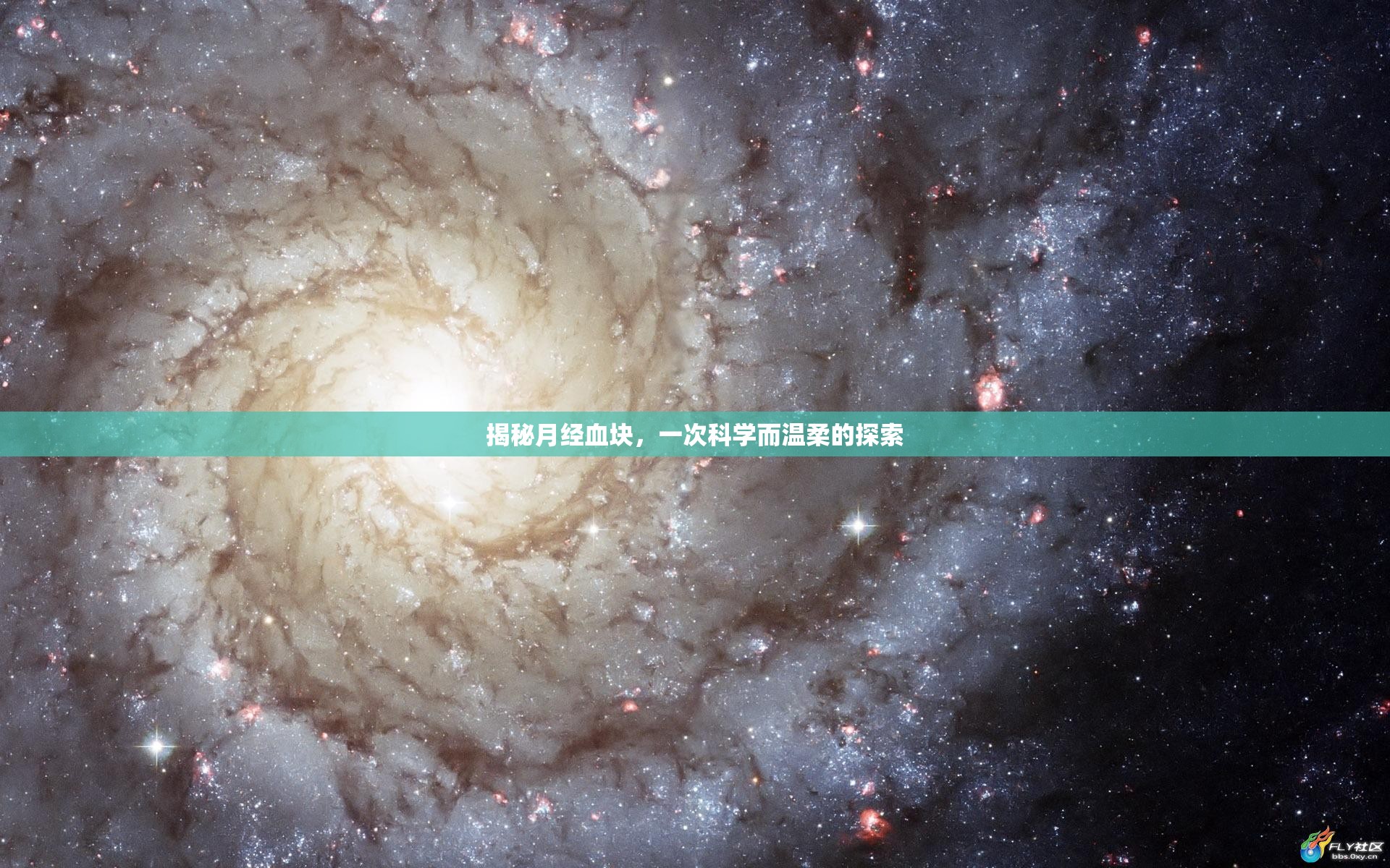 揭秘月經(jīng)血塊，一次科學(xué)而溫柔的探索