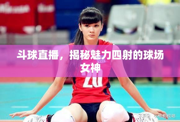 斗球直播，揭秘魅力四射的球場(chǎng)女神