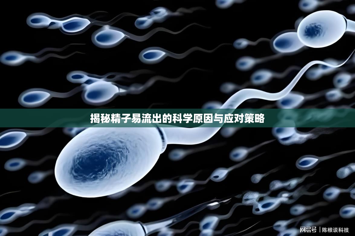 揭秘精子易流出的科學(xué)原因與應(yīng)對(duì)策略