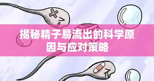 揭秘精子易流出的科學(xué)原因與應(yīng)對(duì)策略
