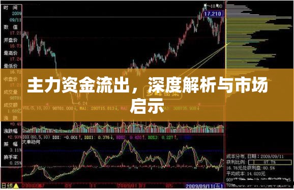 主力資金流出，深度解析與市場啟示