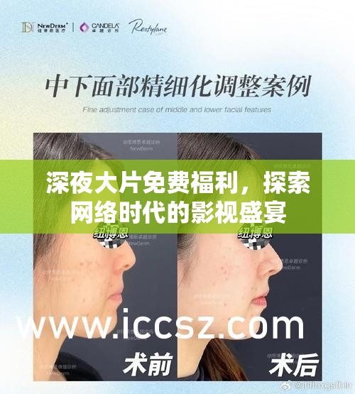 深夜大片免費福利，探索網(wǎng)絡時代的影視盛宴