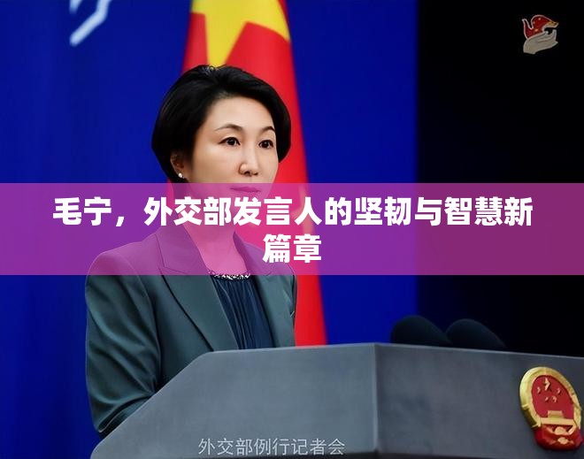 毛寧，外交部發(fā)言人的堅韌與智慧新篇章