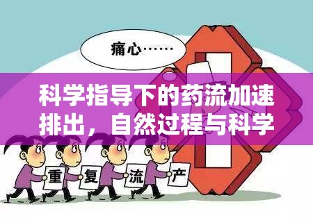 科學(xué)指導(dǎo)下的藥流加速排出，自然過程與科學(xué)方法的完美結(jié)合